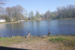 Der Schlossteich