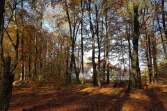 Im Wald mit Blick auf die Anlage