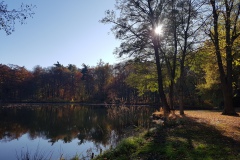Der Schlossteich
